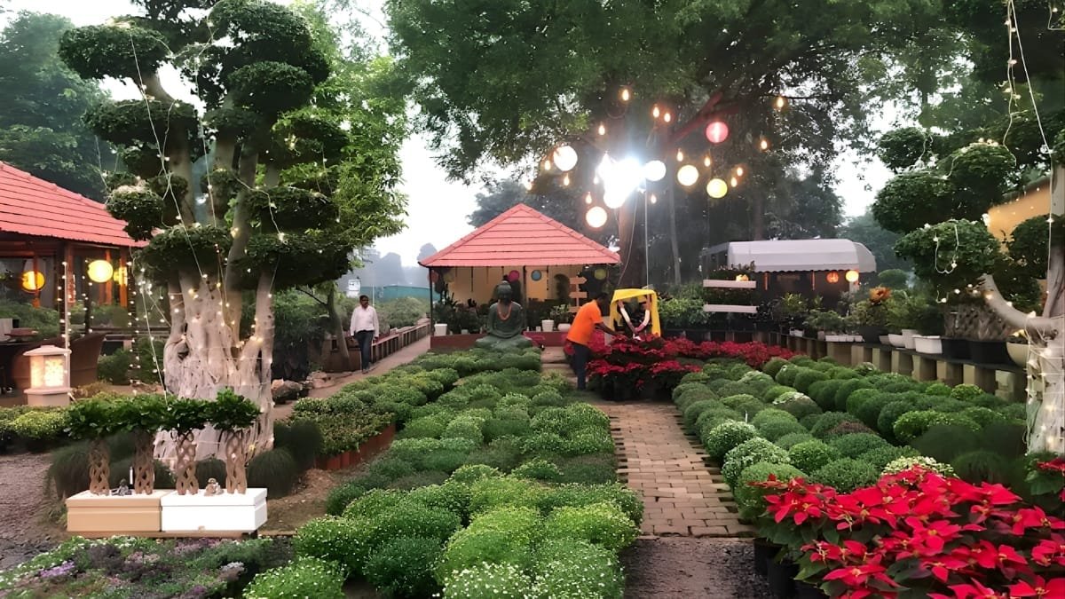 PNN-2026-01-01T111022141